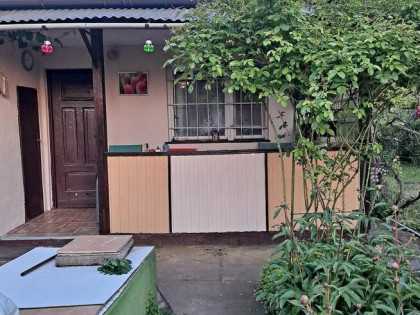 Działka rekreacyjna ROD Pod Lipami