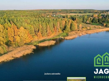 Działka rolna Ostrowite gm. Lniano
