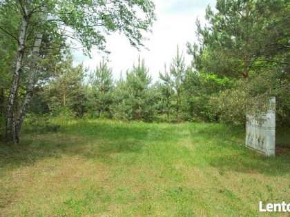 sprzedam działkę Łódzkie Dzierżązna k. Zgierza ul. Polna