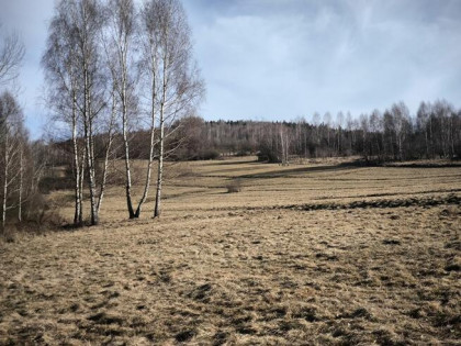 Działka rolna Cisiec gm. Węgierska Górka,