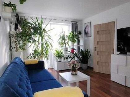 Mieszkanie Kraków Kraków-Śródmieście, Grzegórzki, Widok