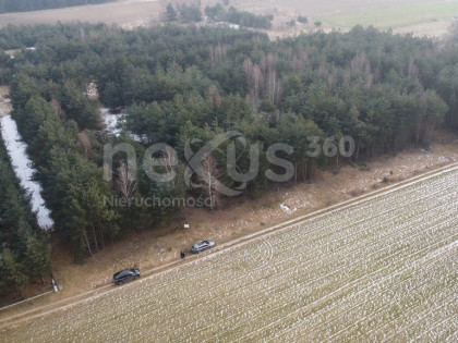 Działki budowlane w Drogoszowicach, Twardogóra
