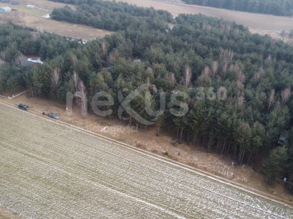 Działki budowlane w Drogoszowicach, Twardogóra