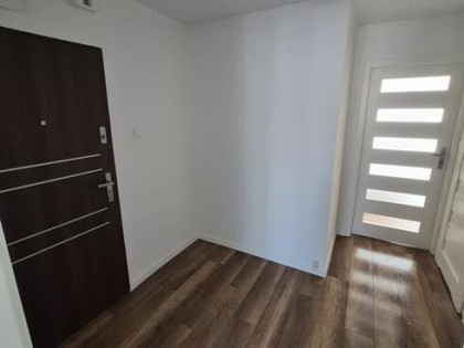 Mieszkanue na wynajem