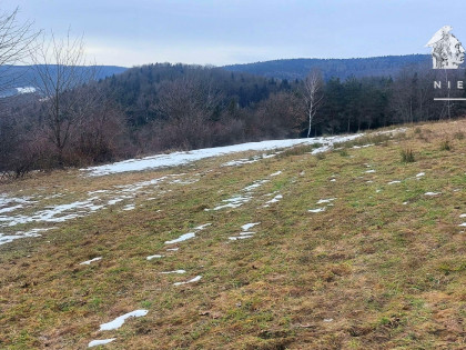 Działka budowlana z panoramą 15 a – Siary, gm. Sękowa 1174S/2026