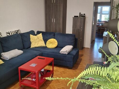 50-metrowe, Bartkiewiczówny, Toruń