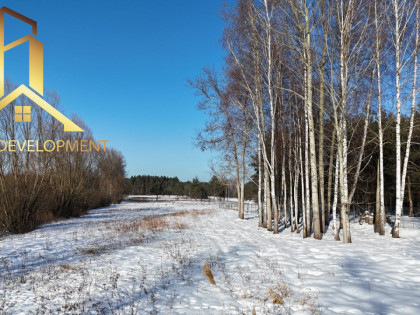 Działka Adamów Drwalewski ul.  