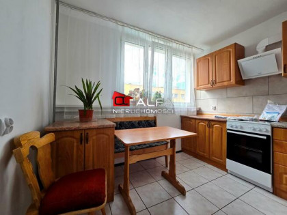 Mieszkanie Świdnica, Riedla