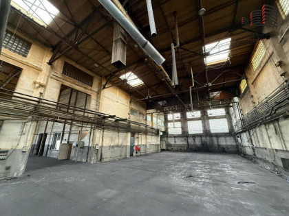 Lokal użytkowy Środa Wielkopolska,