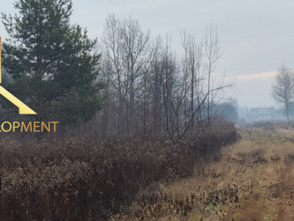 Działka Zawodne ul. Krańcowa