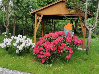 Dzialka ROD IRYS Żyrardów