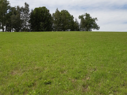 Przetarg - w pobliżu ul. Łąkowej