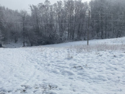 Działka Jastrzębie-Zdrój Ruptawa ul. Zachodnia