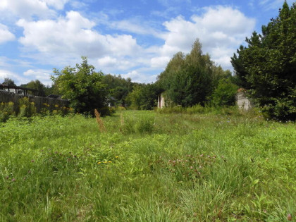 ✅Inwestuj w przyszłość już dziś!✅