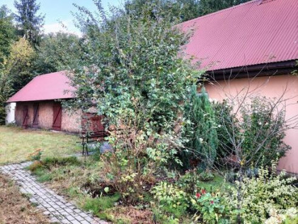 Działka 1100 m wraz z domem okolice Dorohuska super okolica