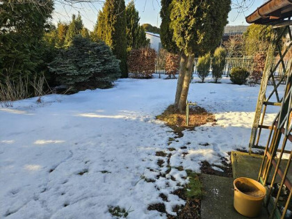 Szprzedam działkę rekreacyjną ROD