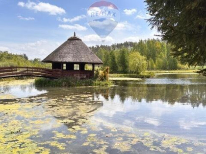 Dom w lesie na pięknej działce za Kościerzyną