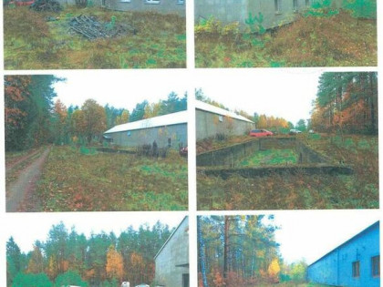 Nieruchomość, Wąpiersk, dz. nr 430/1