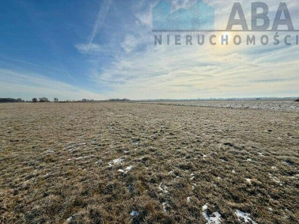 Duża działka w Słodkowie na sprzedaż