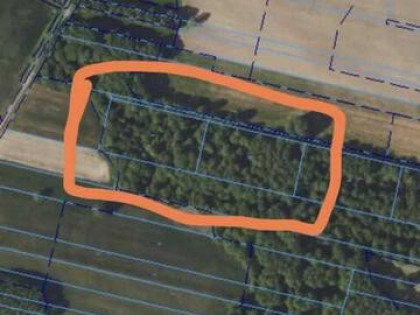 Działka leśna Krypno Kościelne Podlaskie