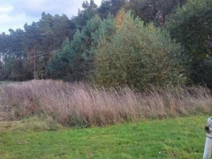 Działka budowlana Zalesie, Podleśna