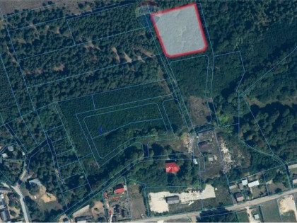 Działka budowlana 4 913 m2 Zakościele nad Pilicą