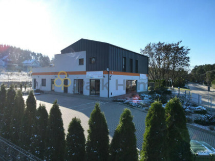 Lokal użytkowy Boszkowo-Letnisko gm. Włoszakowice, Dominicka