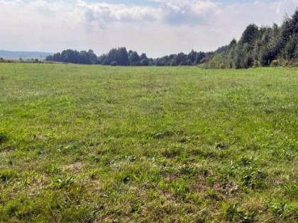 Działka budowlana Studzianki gm. Wasilków,