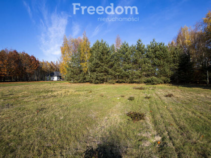 Działka 2883 m² przy lesie – Tarnobrzeg Ocice