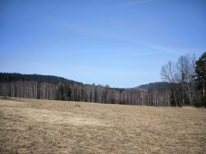 Działka budowlana Kurów gm. Stryszawa,