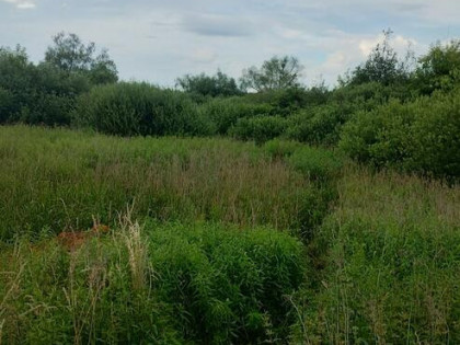 Sprzedam działki okazja gołąb gm Puławy 2,59ha złoża zamiana