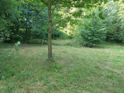 Zaciszna działka z prywatnym lasem i strumykiem: https://you