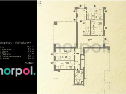 Lokal 75 m² na wynajem przy Błoniach – prestiż, ruch i świetna lokalizacja.