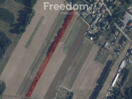 7002 m² z potencjałem Lipniak