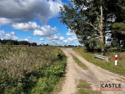 Działka budowlana Trzciel,