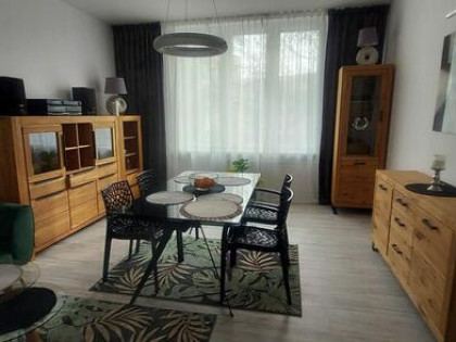 Wynajmę 2 pokoje + kuchnia + hol w Centrum Sosnowca