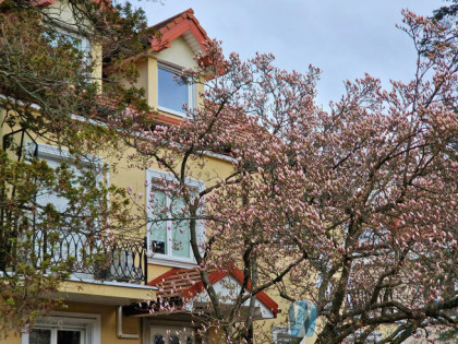 Lokal użytkowy Warszawa gm. Praga-Południe Praga-Południe, Saska Kępa,