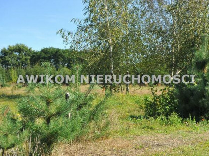 Działka budowlana Żabia Wola Ojrzanów