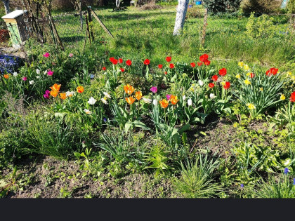 Działka Rekreacyjna