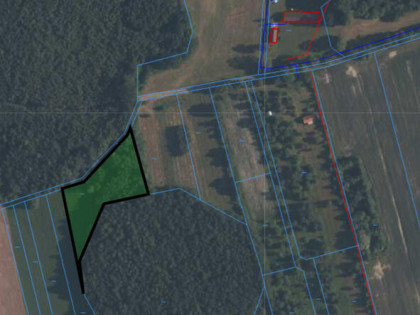 Działka w otoczeniu lasów WÓLKA ŁYSOWSKA