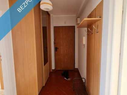 Mieszkanie do wynajecia Krakow, Radzikowskiego