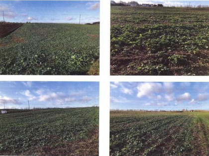 Sprzedaż z wolnej ręki - obręb Bisztynek Kolonia