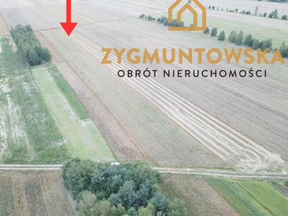 Działka rolna Białaczów Białaczów