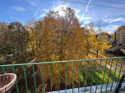 Tychy Czarnieckiego duże 3 pokoje z widokiem na park