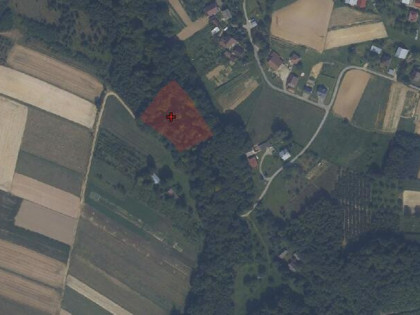 Działka leśna Połomia gm. Niebylec