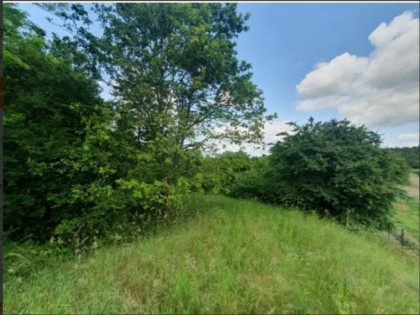 Nieruchomość - Lipno