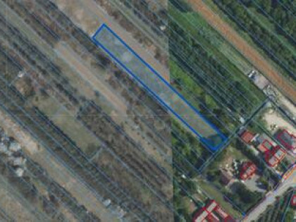 Działka Nadbrzeż gm. Karczew