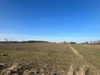 Działka Gnojno Kostera