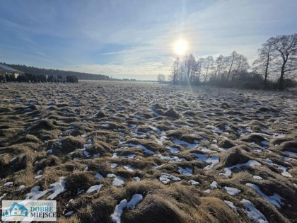 Działka budowlana Kruszyn Krajeński gm. Białe Błota