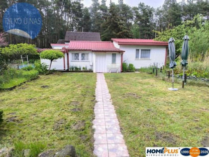 Cicha działka z domkiem w otulinie lasu koło rzeki